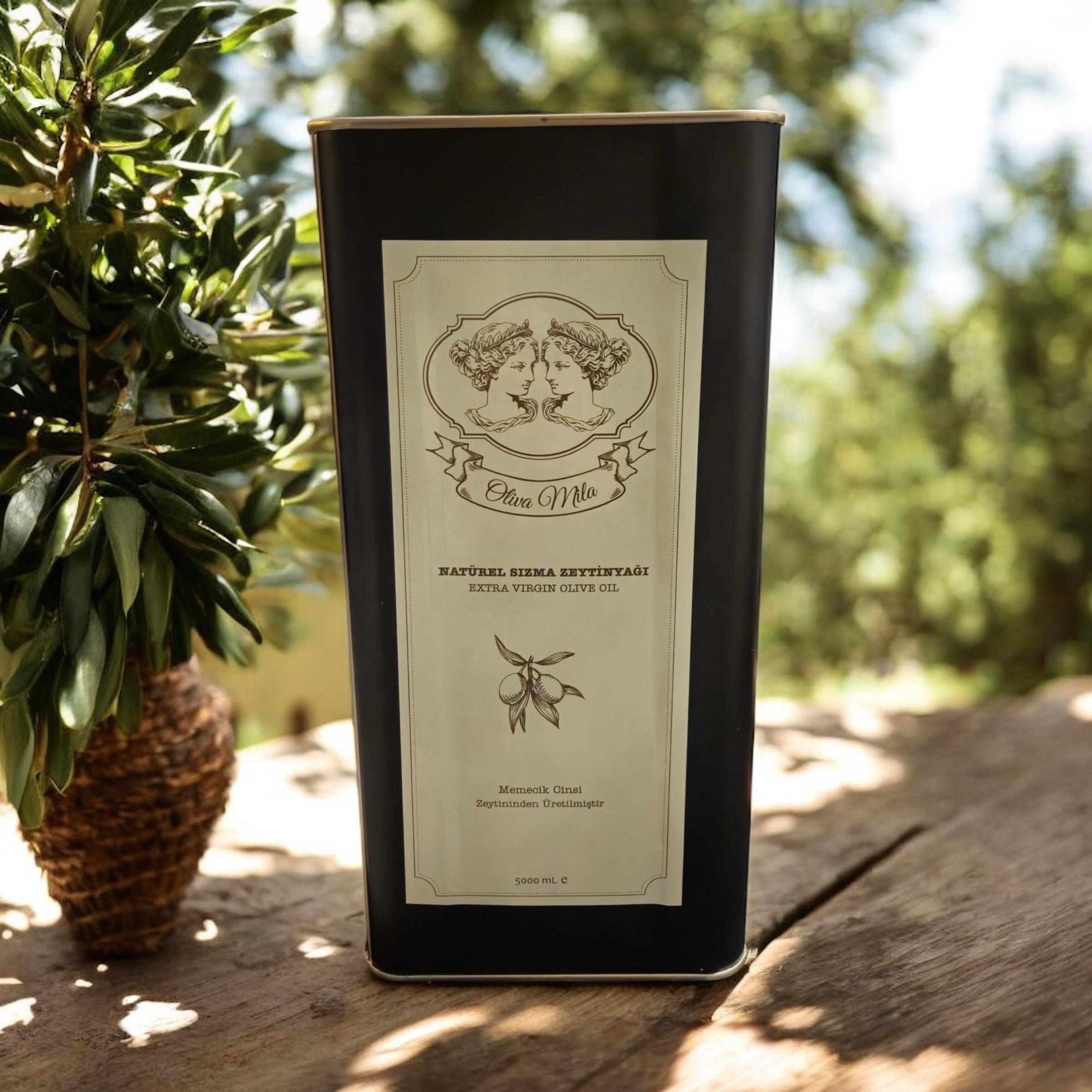 5000 ml Naturel Sızma Zeytinyağı